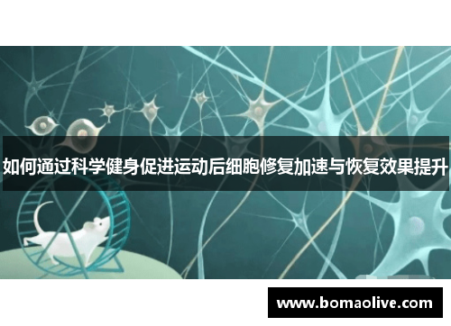 如何通过科学健身促进运动后细胞修复加速与恢复效果提升